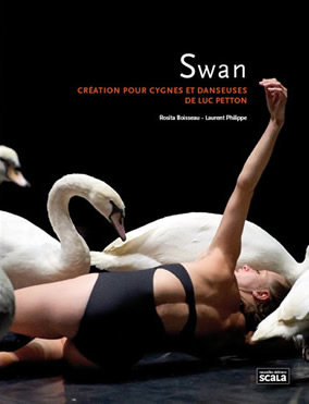 swan-couverture-bd